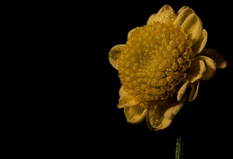 Sun фото превью