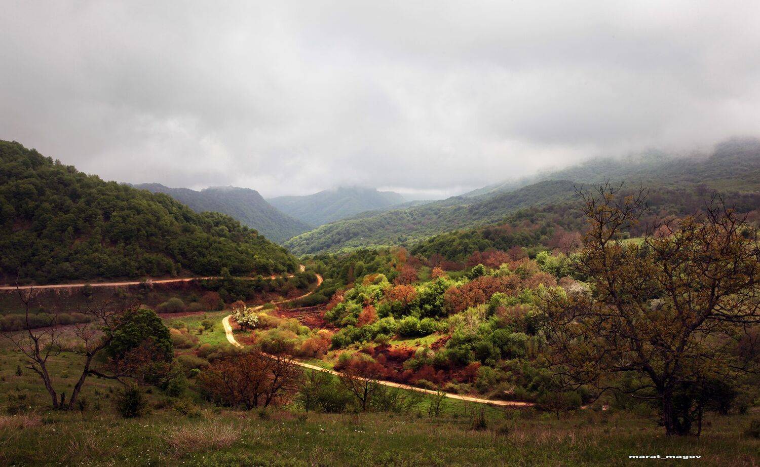 весна,горы,лес,пейзаж,кайтаг,дагестан,, Magov Marat