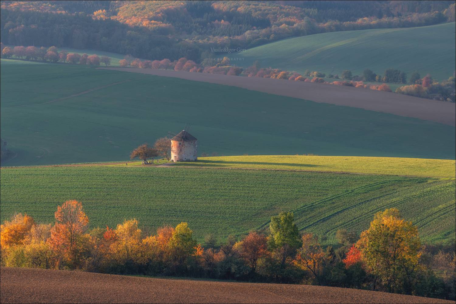 южная моравия,пейзаж,волны,ветряк,линии,south moravian,lines,мельница,свет,czech,осень,чехия,landscapes,поле,windmill,кунковице, Гори Василий