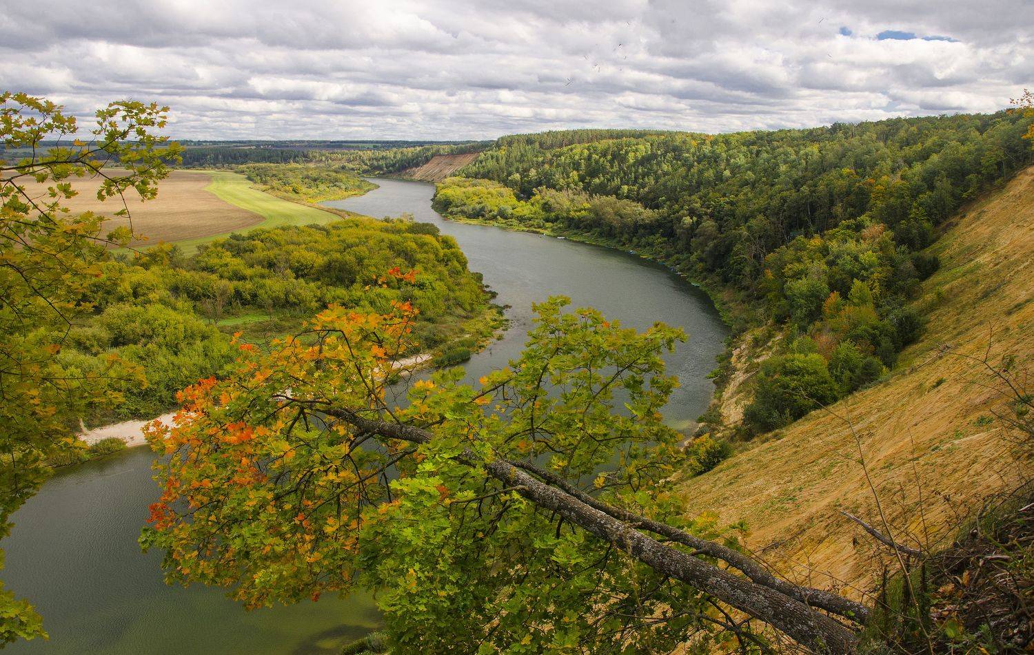осень дон красота, Александр Березуцкий