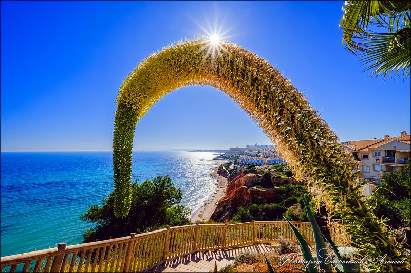 испания, пейзаж, море, февраль, путешествие, фотограф в испании, фотограф в торревьеха, landscape, paisaje, mar, fotografo, photographer, spain, costa blanca, коста бланка, кабо роиг, кампоамор, фотообои Прекрасный февральский солнечный ясный денёк у моря фото превью