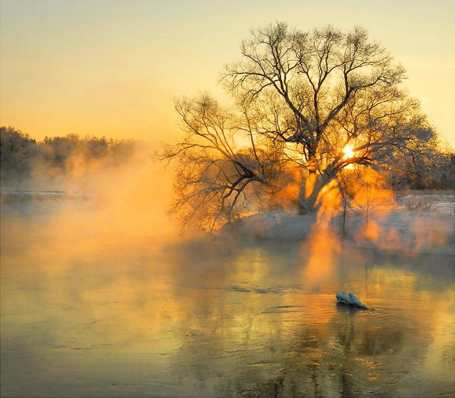 , Ольга Заболотская