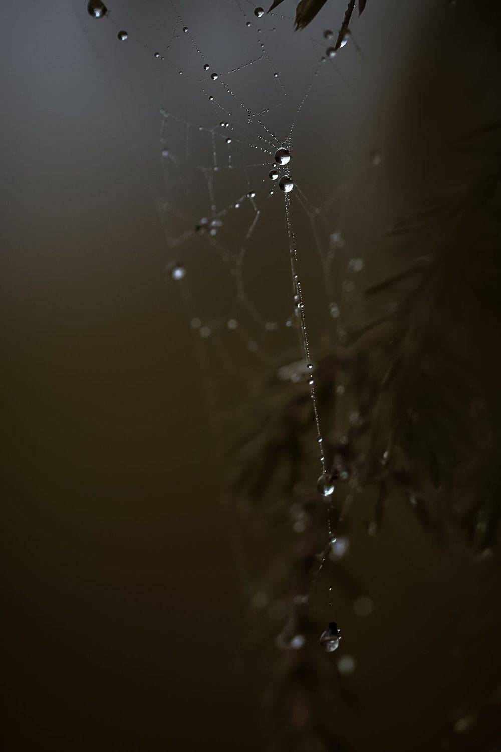 , Татьяна Винничук