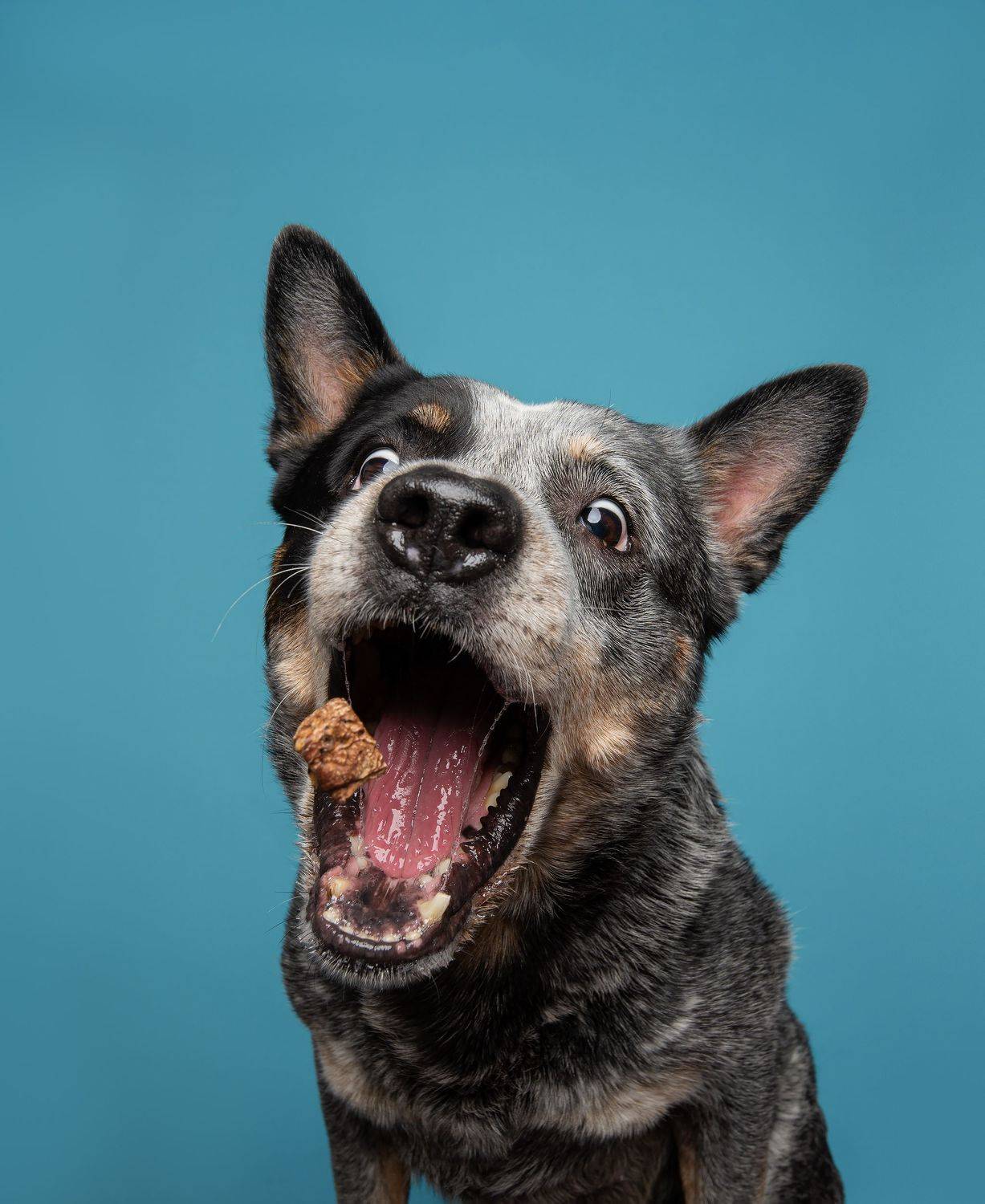 , Юлия Гончар