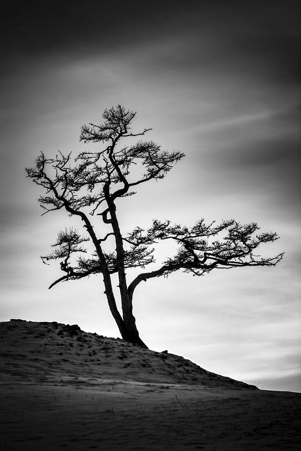 , Андрей Баскевич