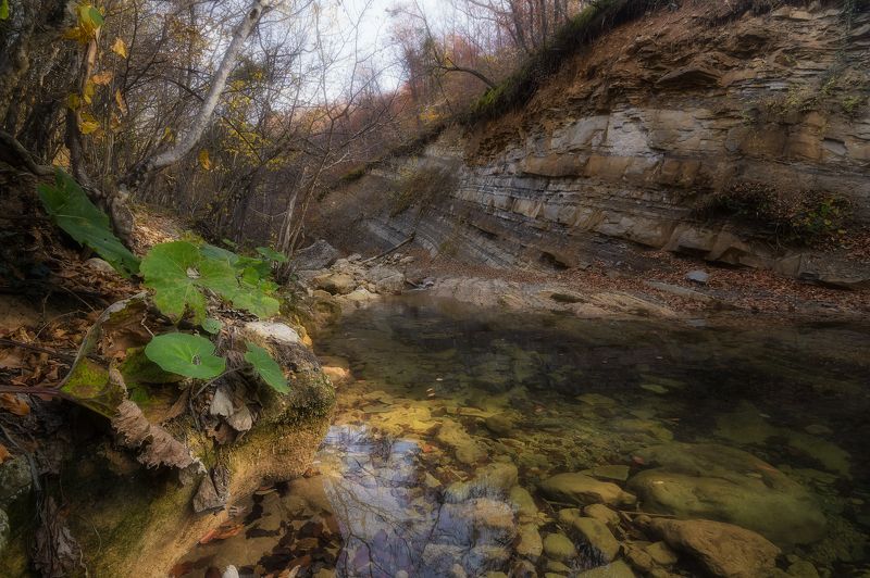 крым, река, Поздняя осень в Большом каньоне фото превью