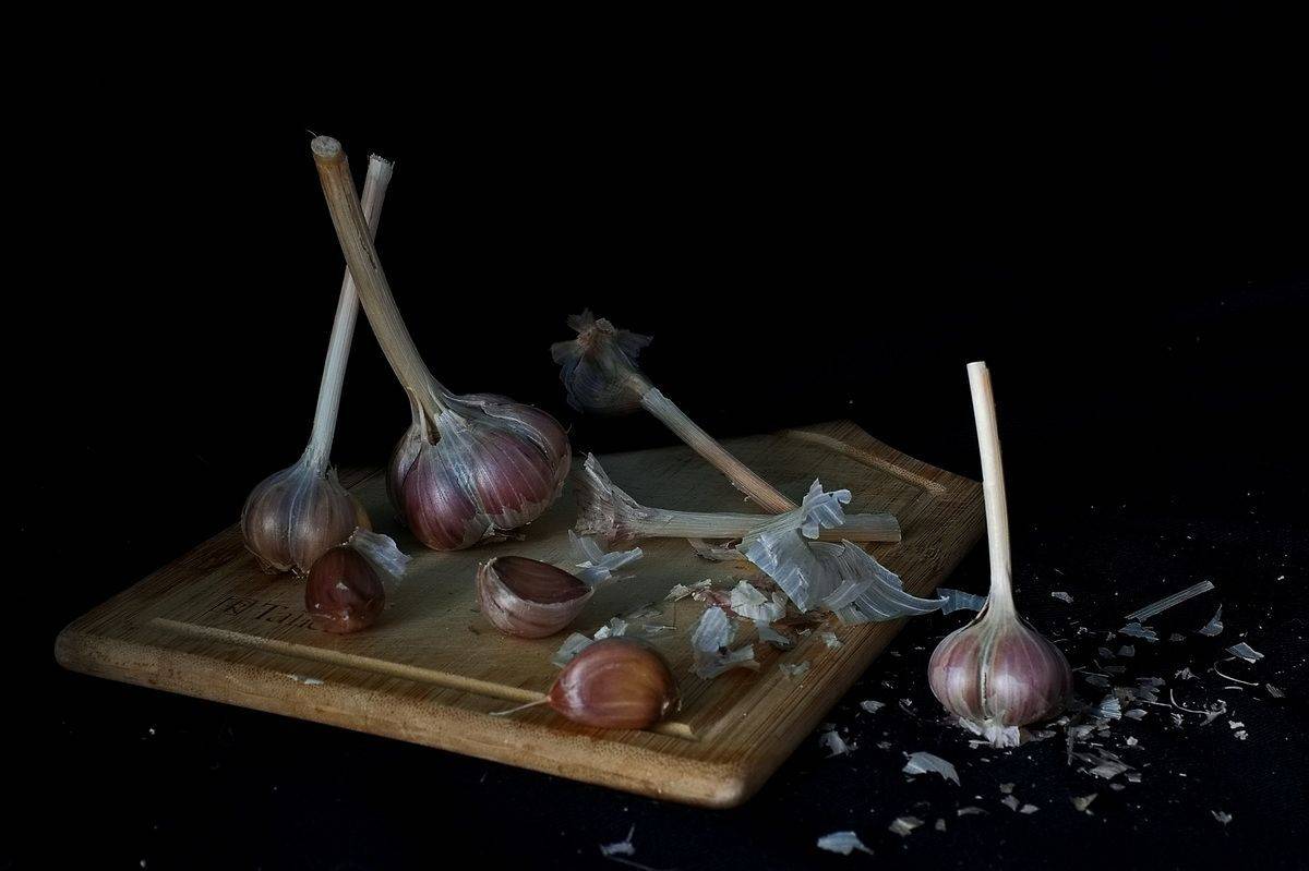 , Николаев Владимир