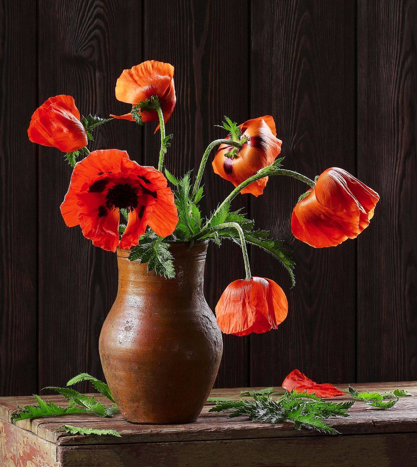 натюрморт, лето, цветы, букет, август, дача, сентябрь, фотонатюрморт, still life, stillifefoto, художественное фото, фотохудожник, наталья казанцева, Наталья Казанцева