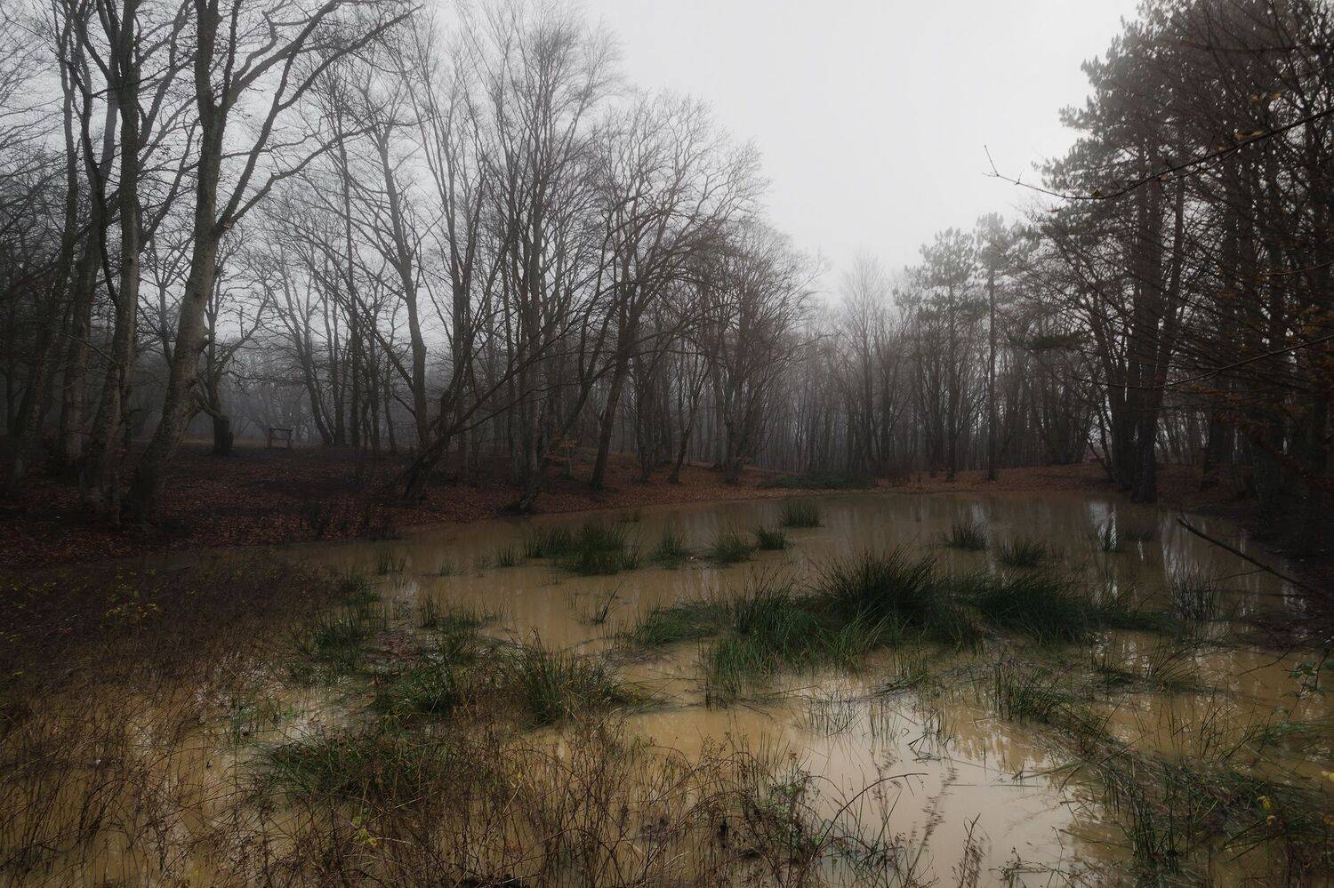 крым, туман,, Черкасов Сергей