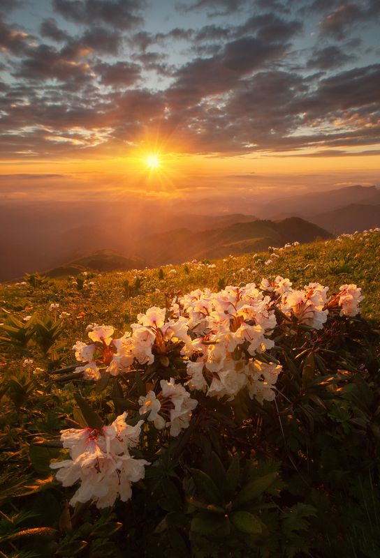 Рассвет на Асбестной фото превью