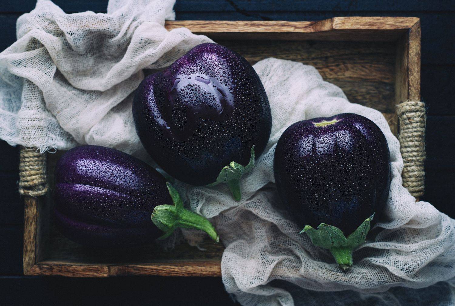 , Karina Aleksandrova