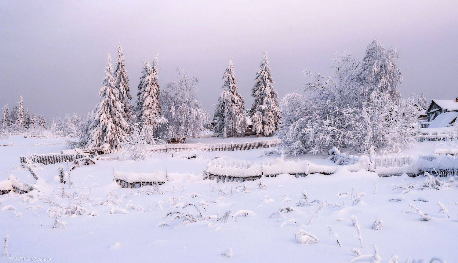 баская, пермский край, поселок, зима, снег, вечер, закат, деревня, пейзаж, Соколова Елена