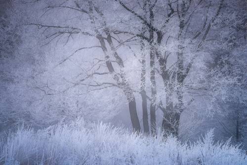 В окрестностях Пехорки