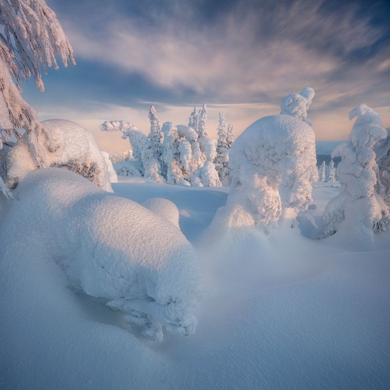 гух *** фото превью