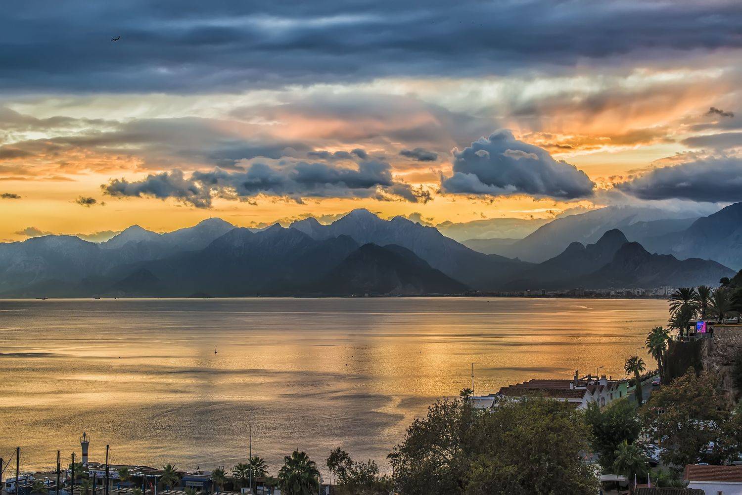 , Сигидова Ирина