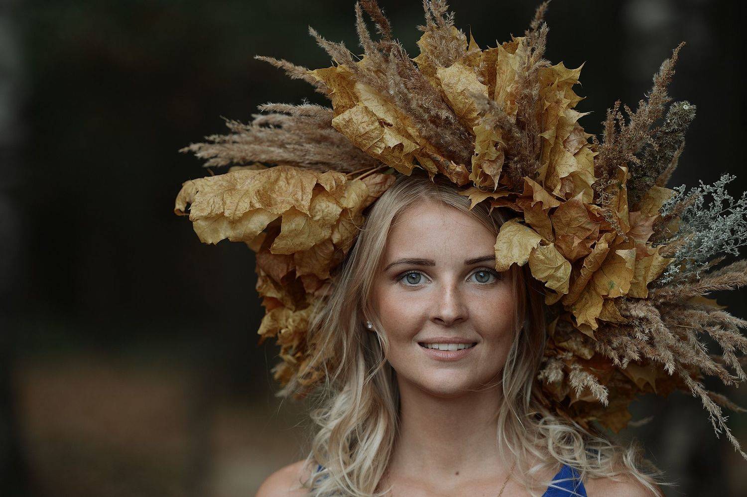 , Николай Евдокимов