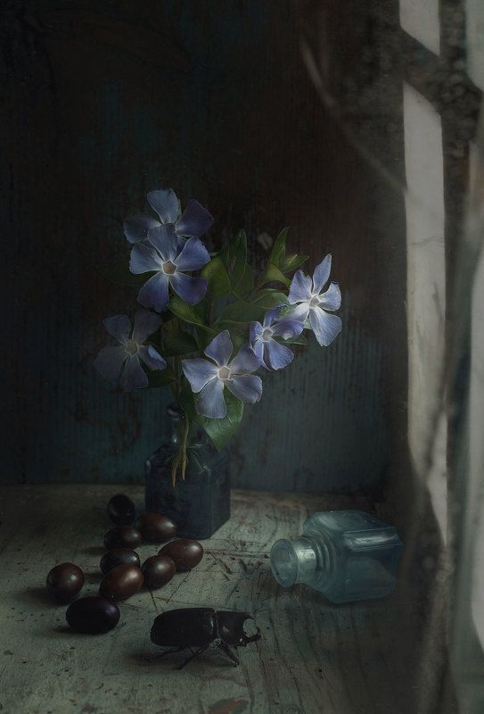Vínca фото превью