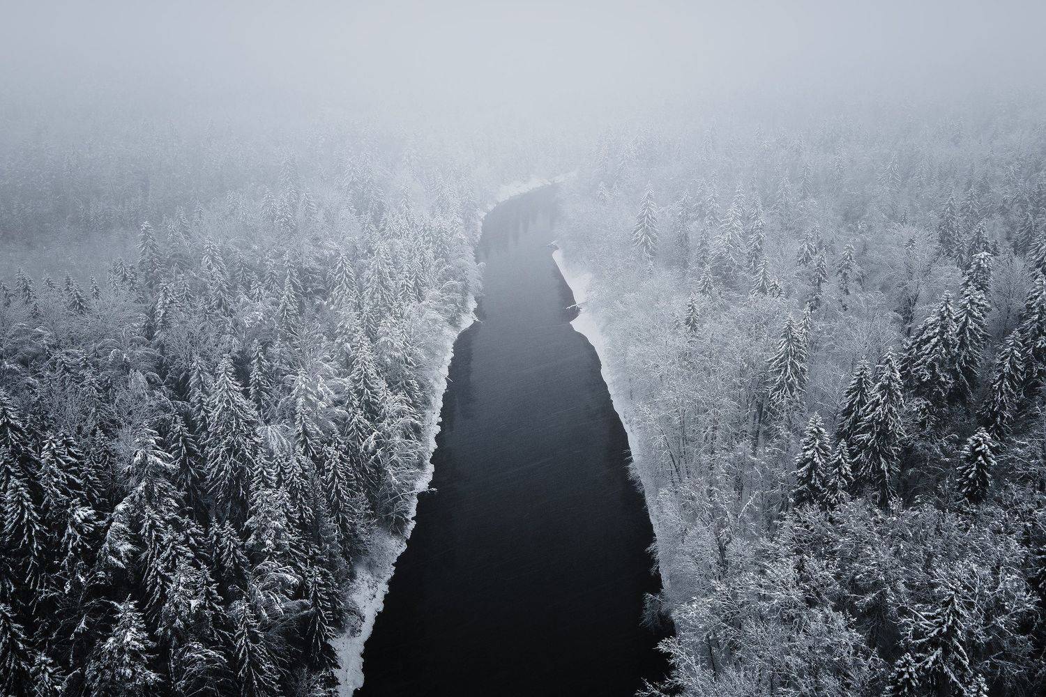 , Лутовкин Артём