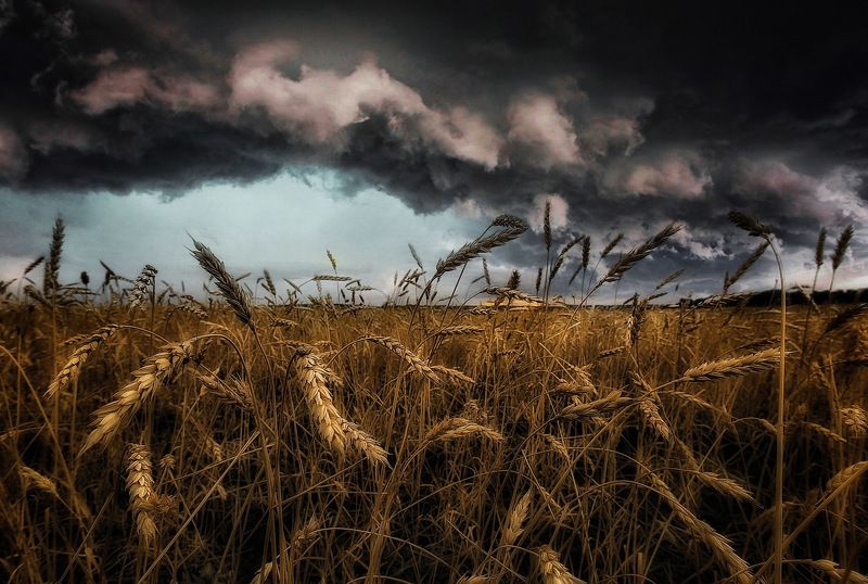 Тишина перед бурей фото превью