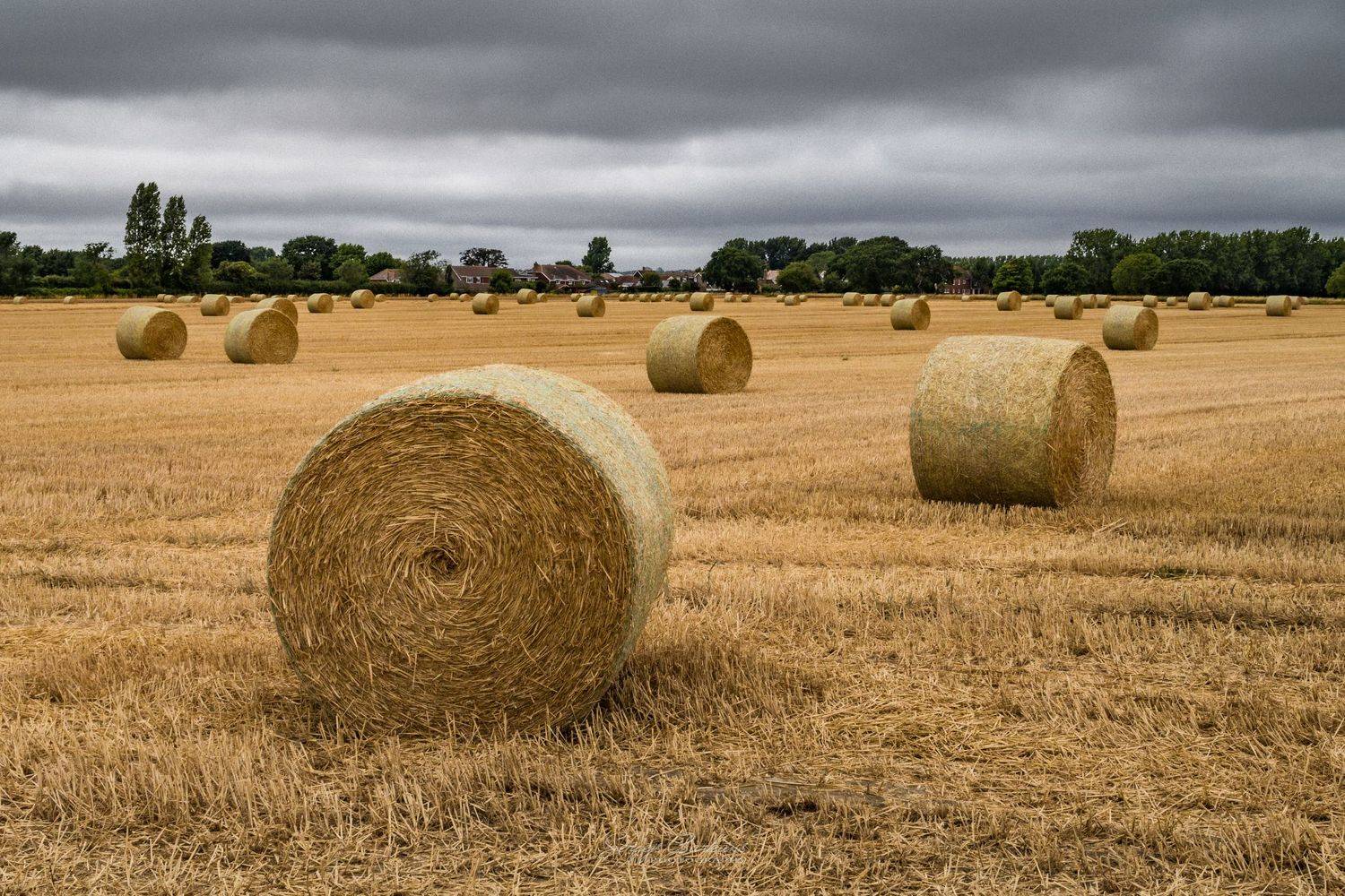 #wheat, #field, #fall, #autumn, #village, #nature, #england, Sergejs Barkans
