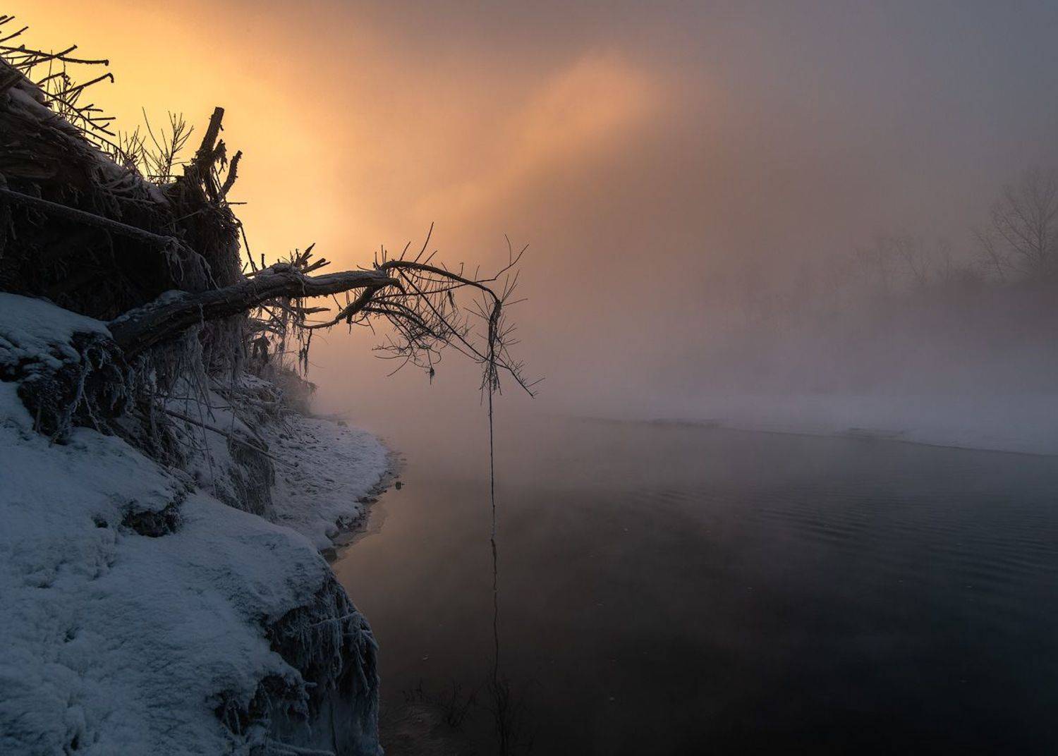 , Комеров Роман