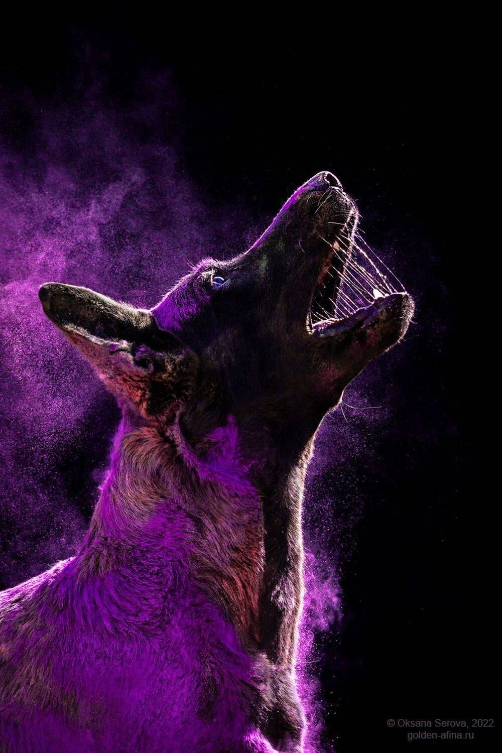 , Оксана Серова