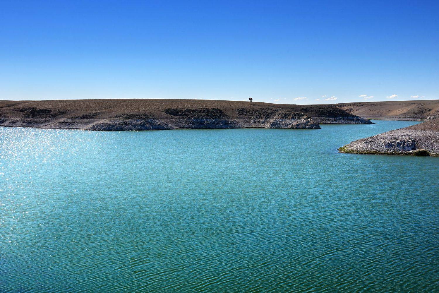 вода небо верблюд, Сергей Романчук