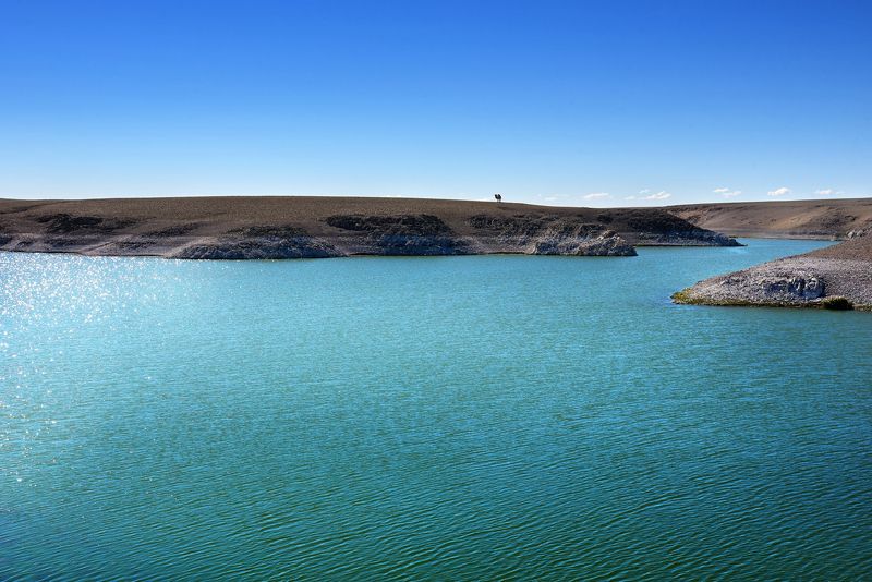 вода небо верблюд Верблюд и вода фото превью