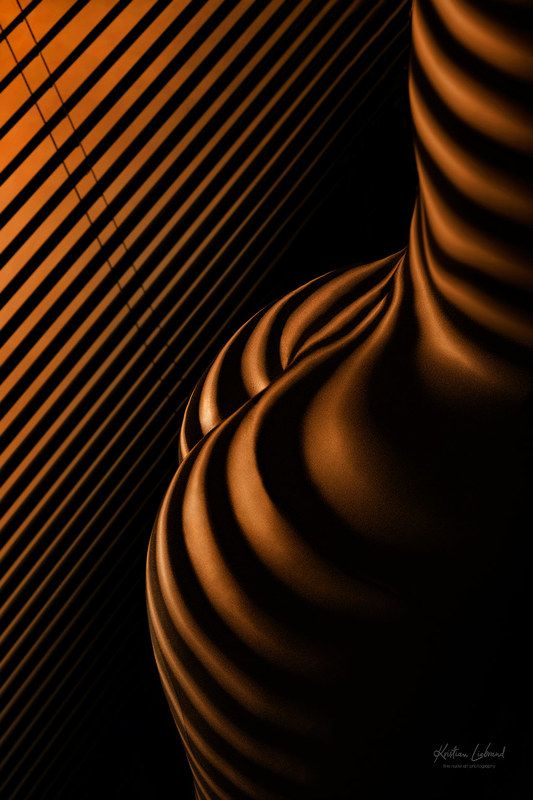 blinds, window, model, butt, body, girl, woman, lights, nudes, nude, zebra, golden, rays, sun, contrasts, bodyscape blinds lights фото превью