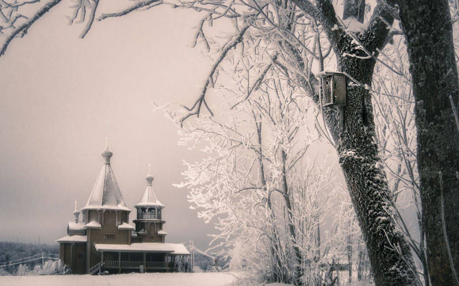 , Олег Дунаев