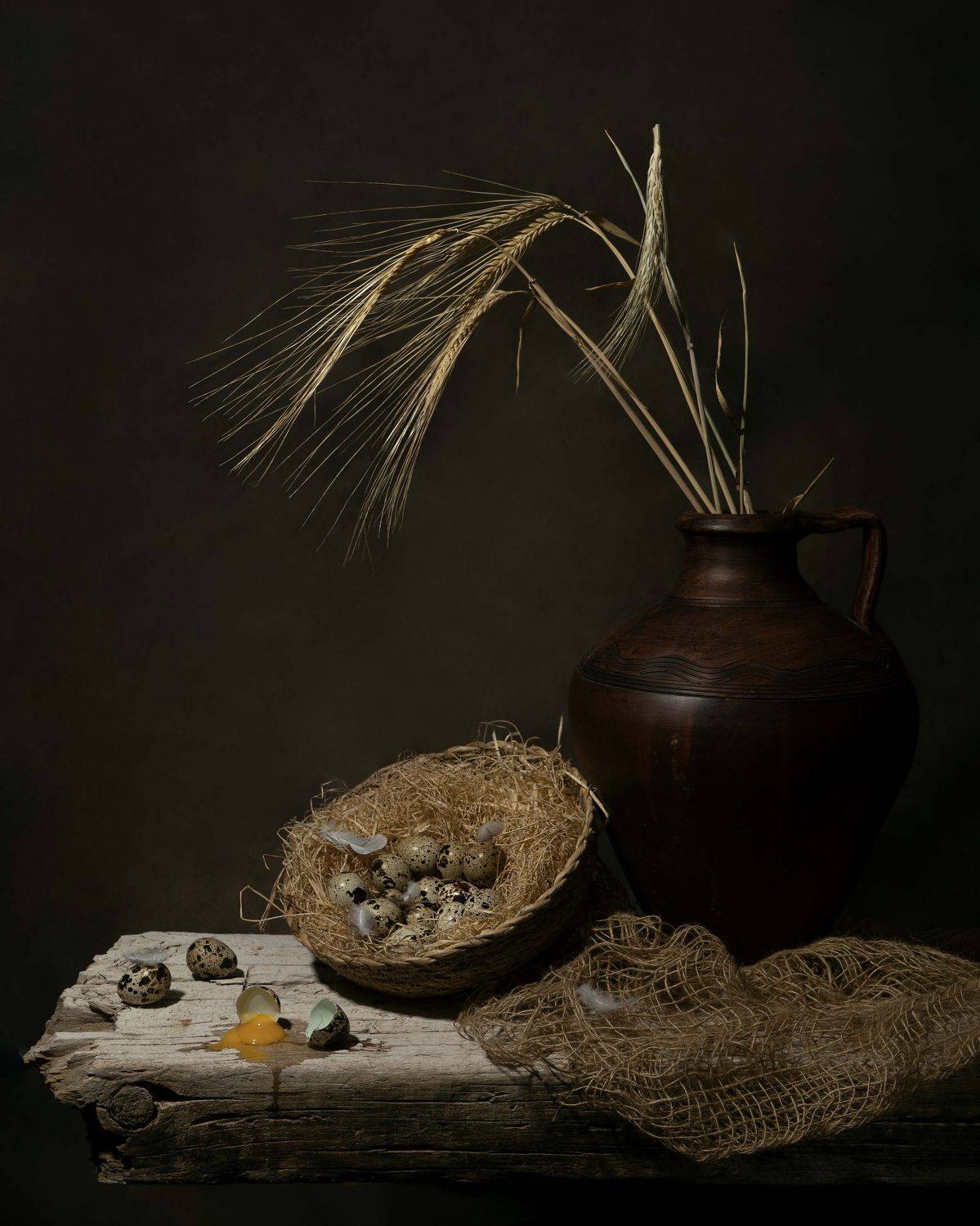 , Диана Трильо