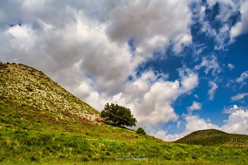 Cloudy Sky фото превью