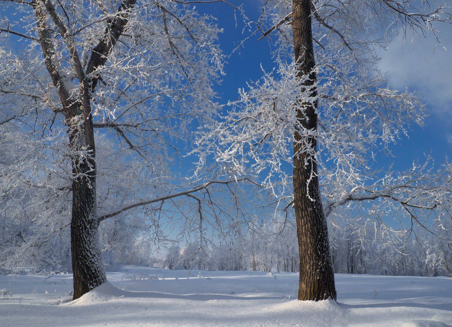, Галина Хвостенко