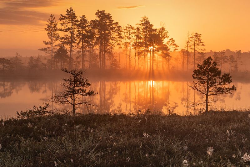Morning фото превью