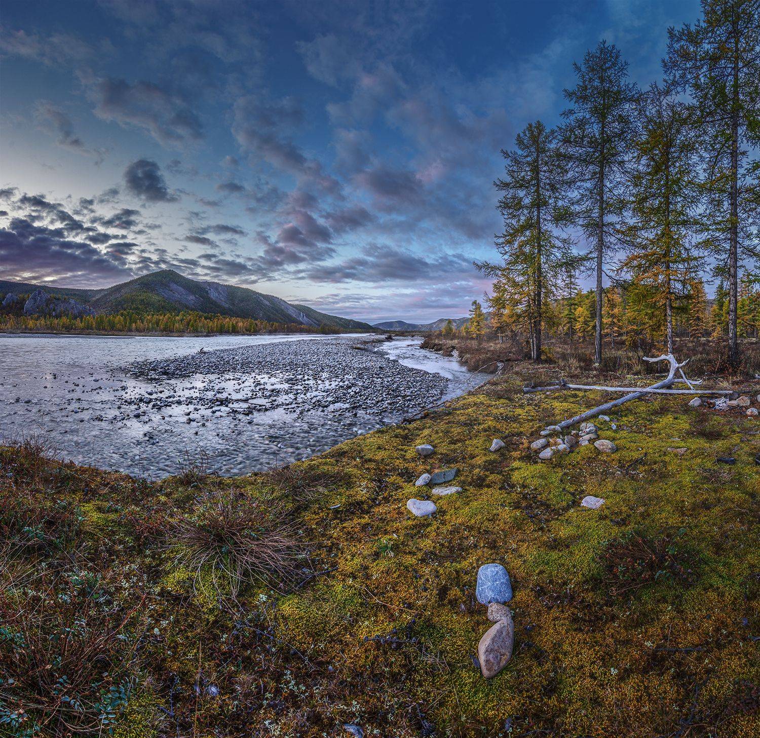 , Андреев Николай