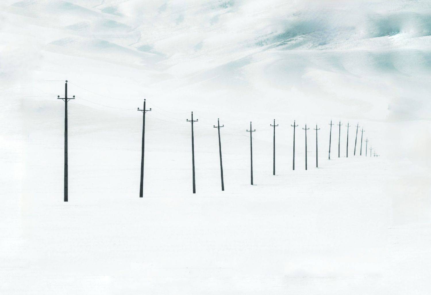 , Seyed Homayoun Hosseini