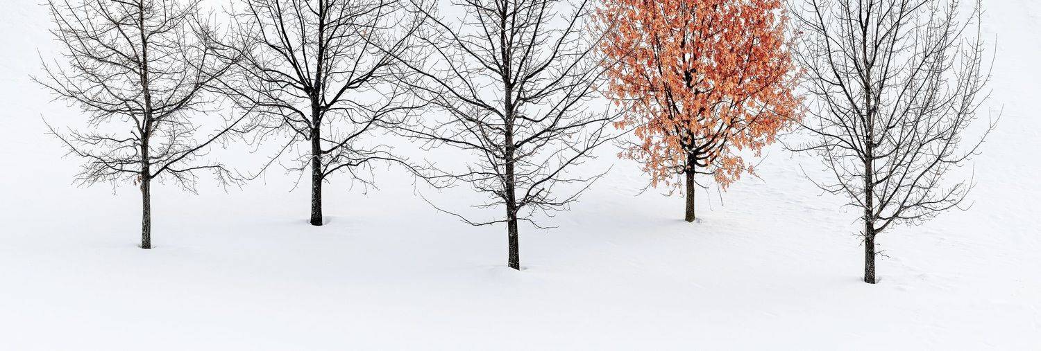 , Сергей Давыдов