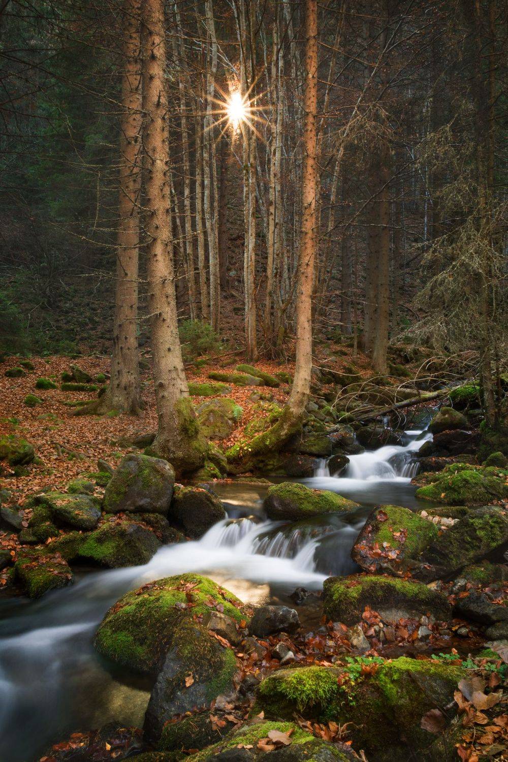 landscape, sunlight, river, narture, mountain, forest, nobody, autumn, fall, season, Tonova Vania