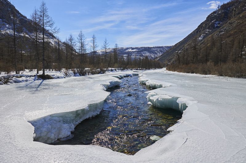 Весна фото превью