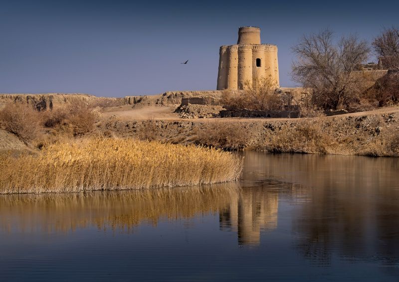 иран, нд, голубиная башня, башня, iran, pigeon tower, tower, азия, iran 2023 Голубиная башня фото превью