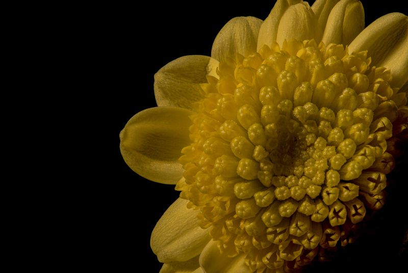 Sun фото превью