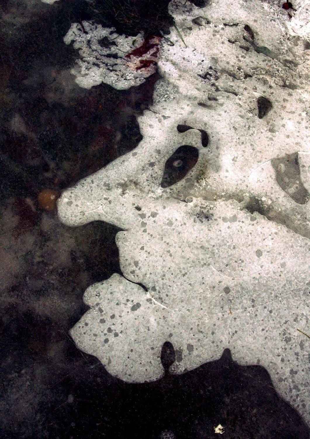 pareidolia, Илья Илья