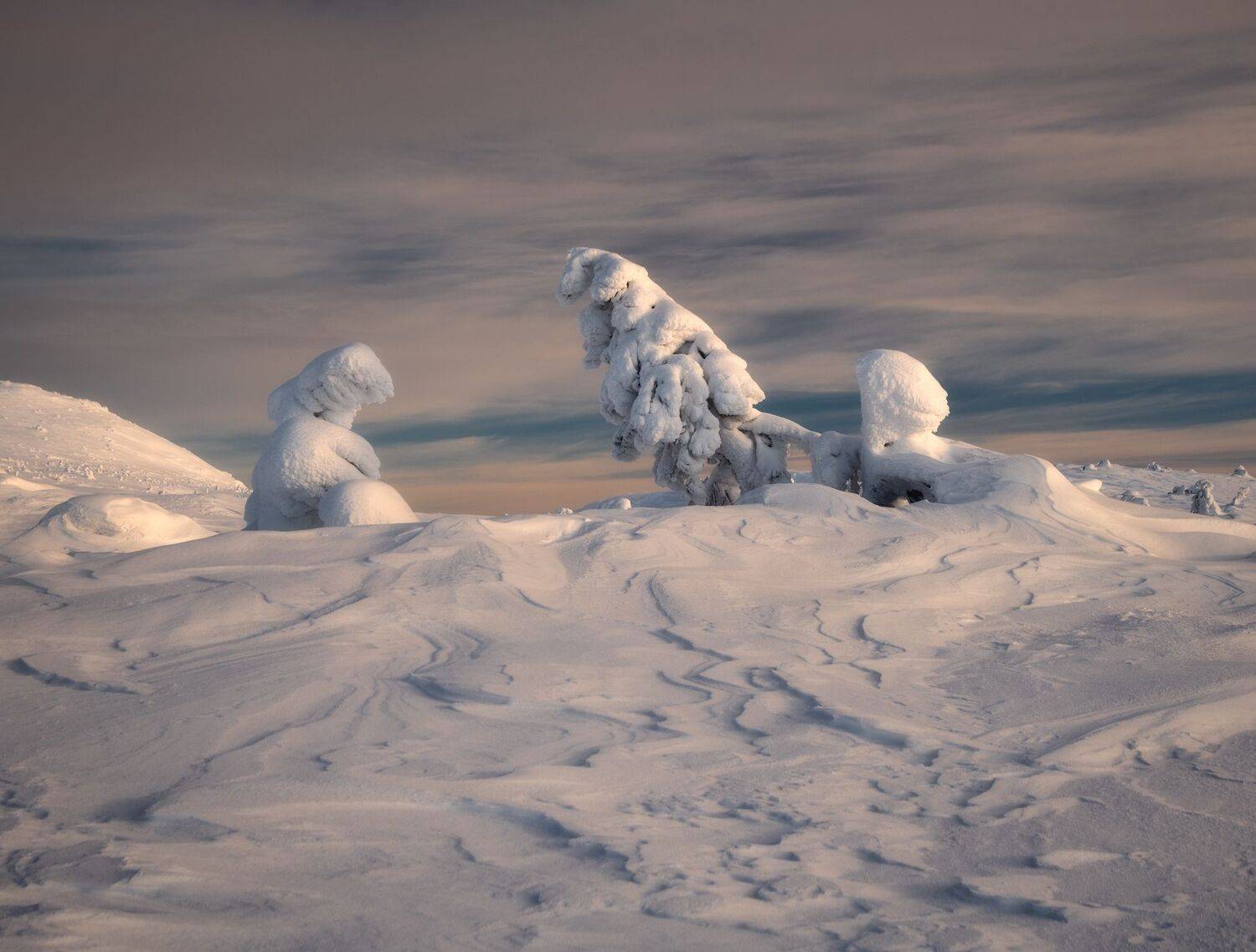 , Виталий Истомин