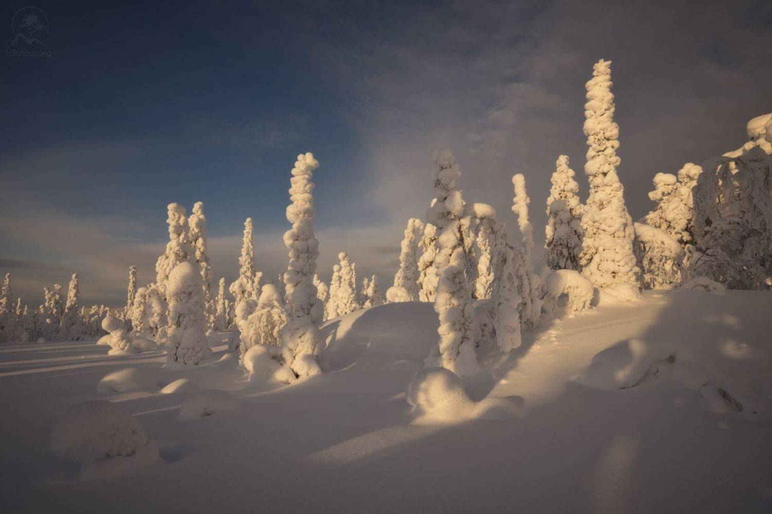 паанаярви, Anatoly Gordienko