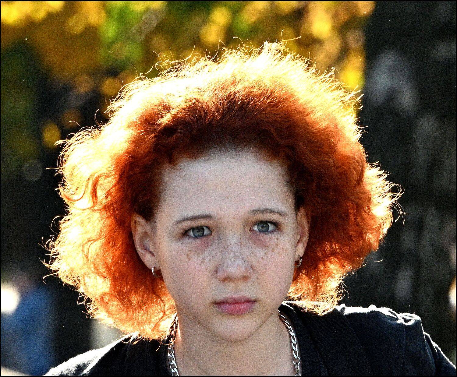 , Меднов Влад