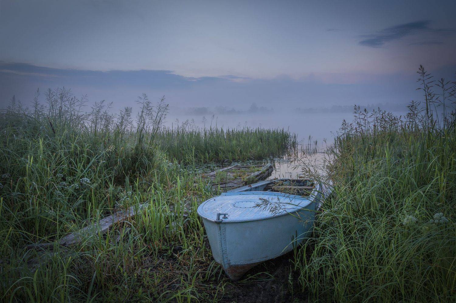 Тверская область, Елена Гусева