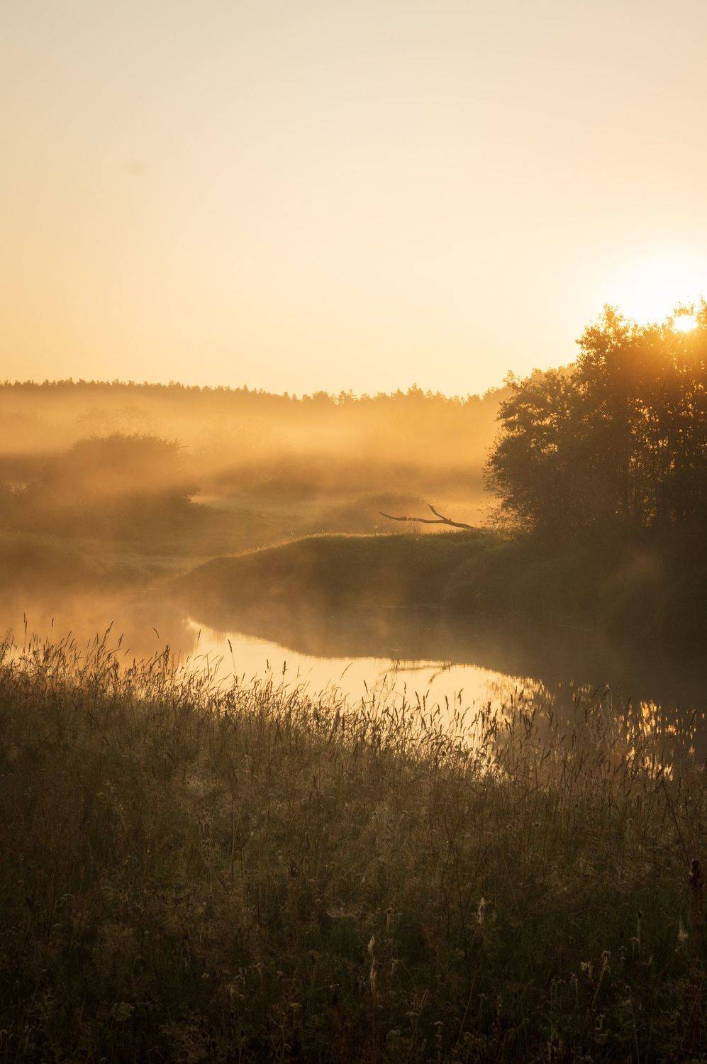 , Лутовкин Артём