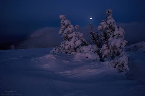 Стражи Луны