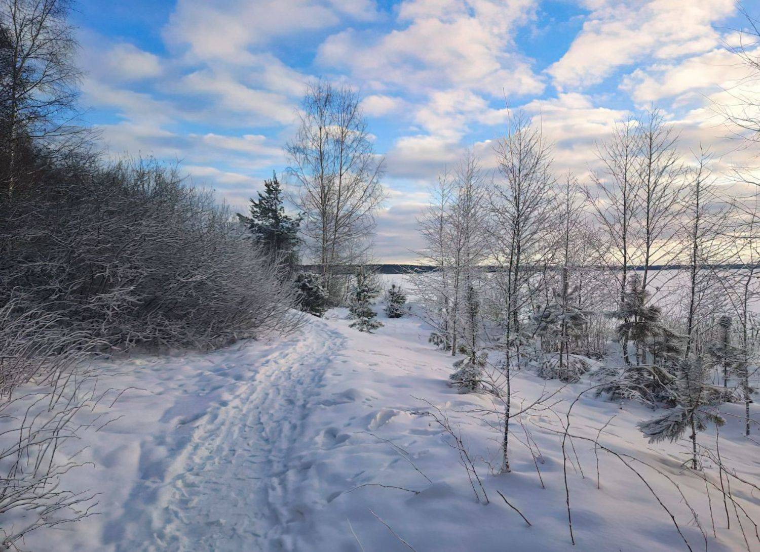 утро, зима, снег,, Сергей Шабуневич