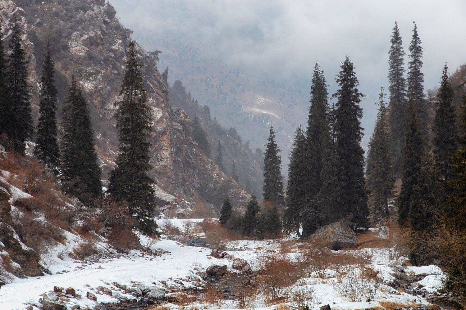 кыргызстан, ущелье кегеты, Элина Магалимова